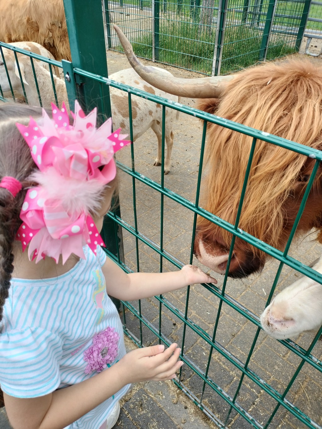 Germany Adventure (Part&nbsp;3)